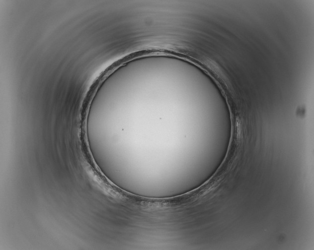 X0000113621020200910021822