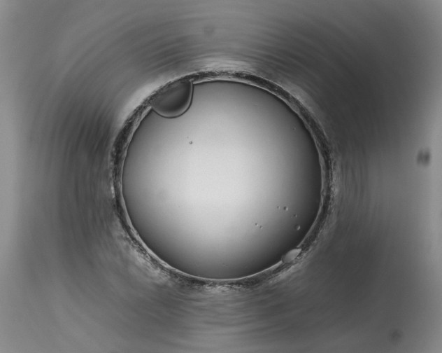 X0000113621022200910021822