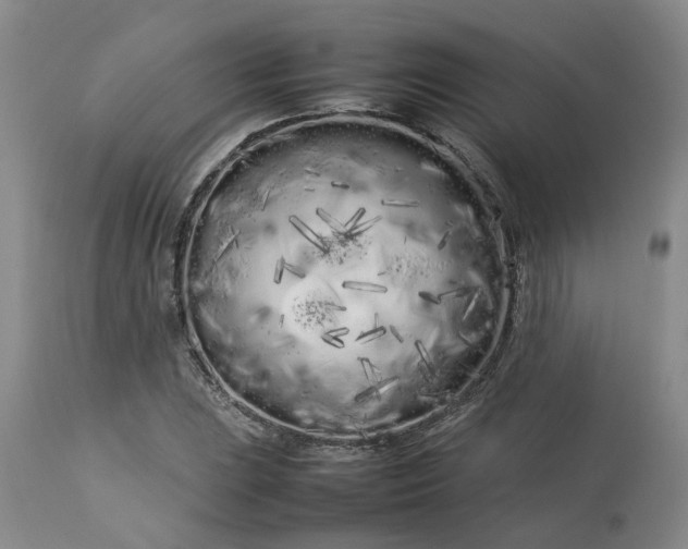 X0000113621023200910021822