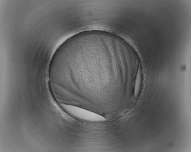 X0000113621024200910021822