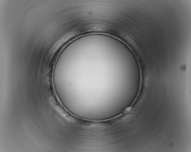 X0000113621026200910021822