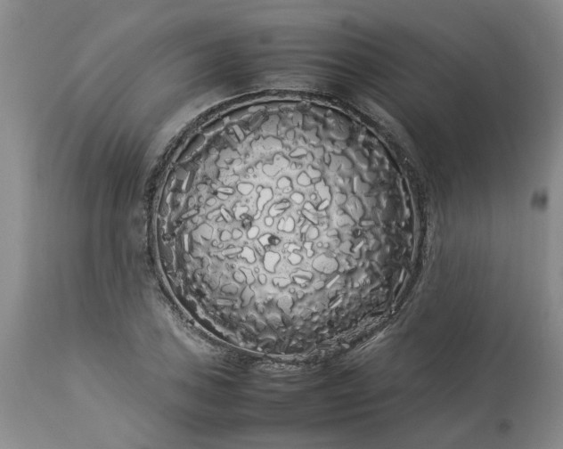 X0000113621027200910021822