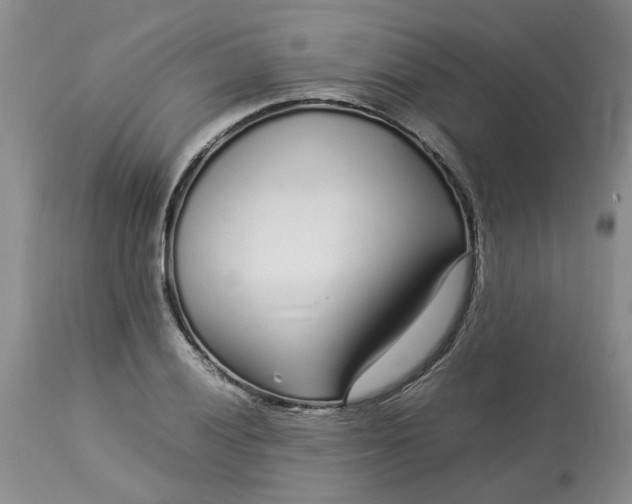 X0000113621028200910021822