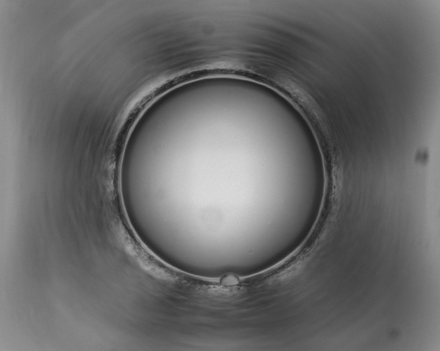 X0000113621029200910021822