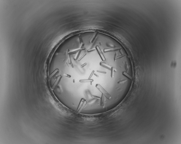 X0000113621031200910021822