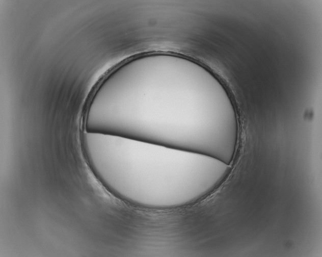 X0000113621032200910021822