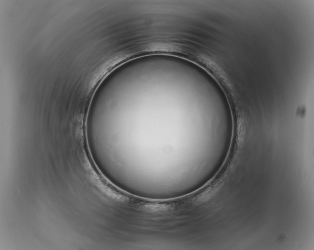 X0000113621033200910021822