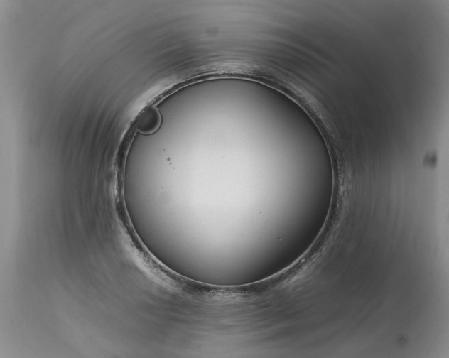 X0000113621034200910021823