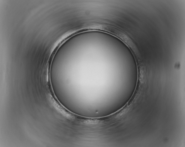 X0000113621036200910021823