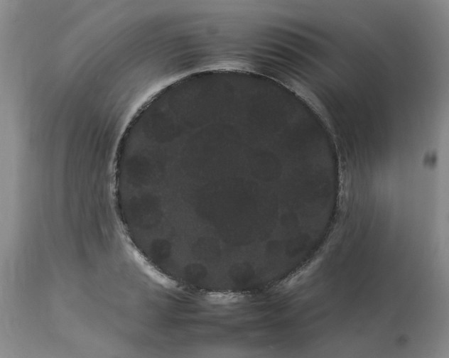 X0000113621037200910021823