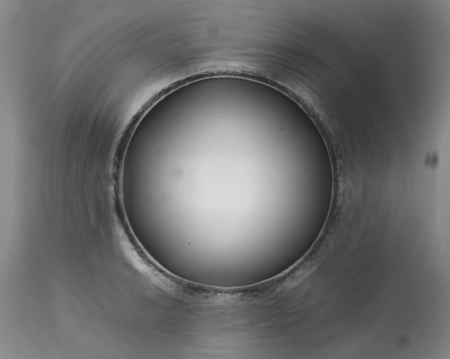 X0000113621038200910021823