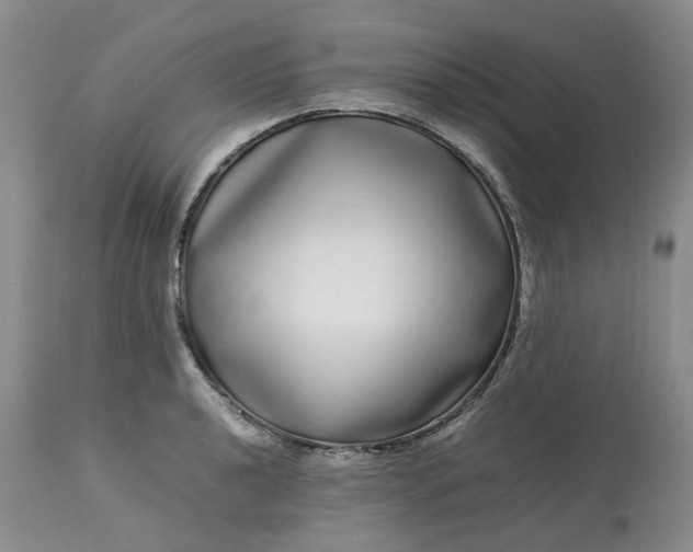 X0000113621040200910021823