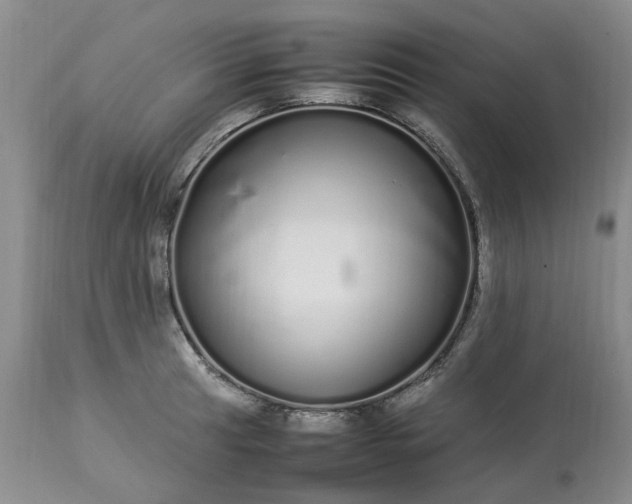 X0000113621041200910021823