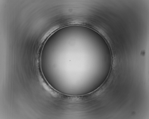 X0000113621042200910021823