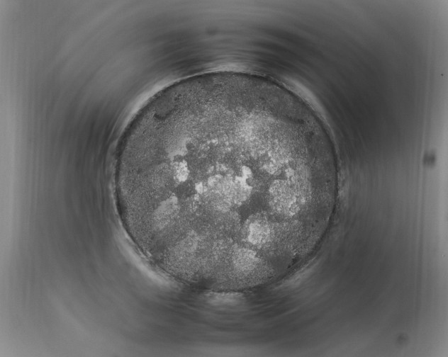 X0000113621043200910021823