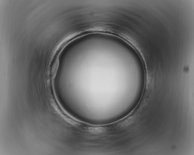 X0000113621045200910021823