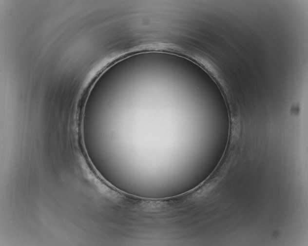 X0000113621046200910021823