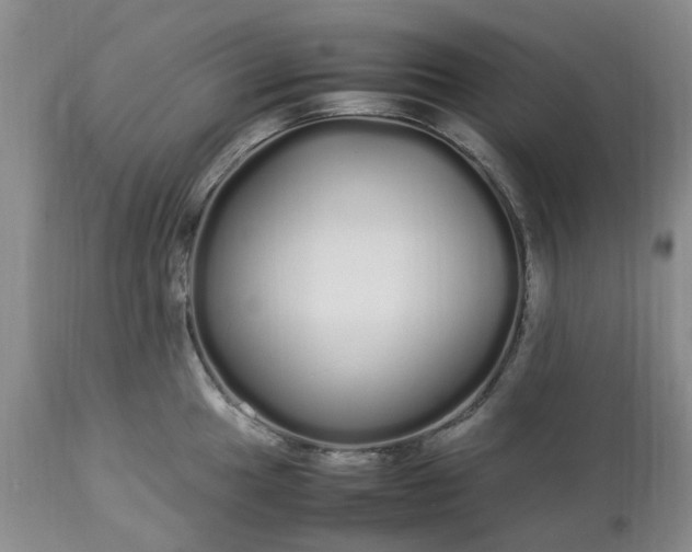 X0000113621049200910021823