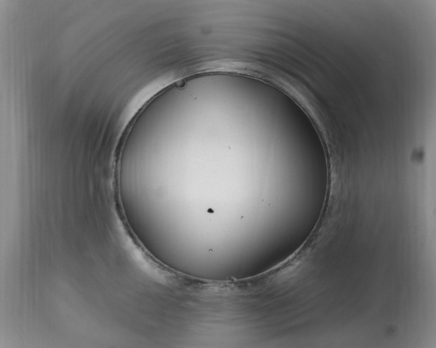 X0000113621050200910021823