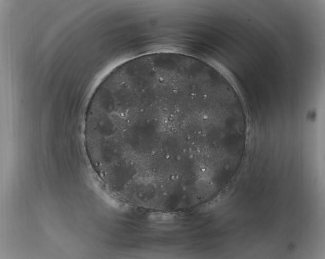 X0000113621051200910021823