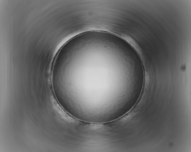 X0000113621052200910021823