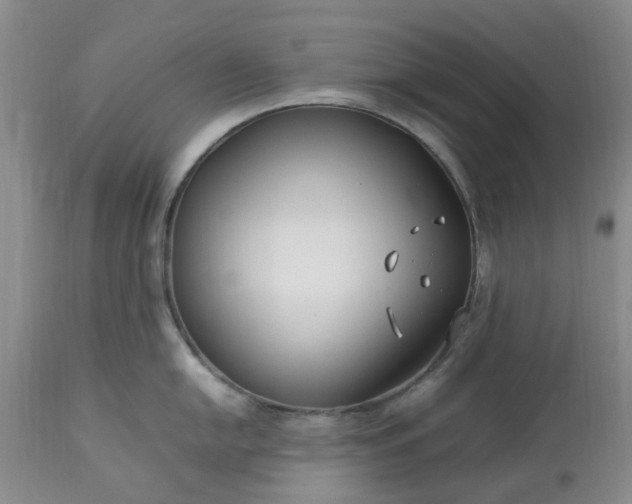 X0000113621054200910021823