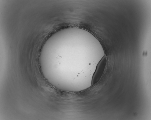 X0000113621057200910021822