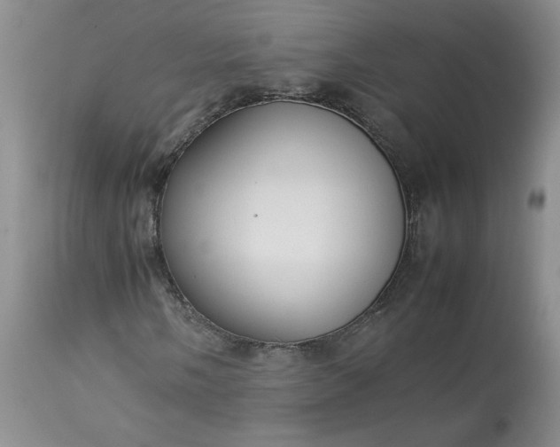 X0000113621058200910021822