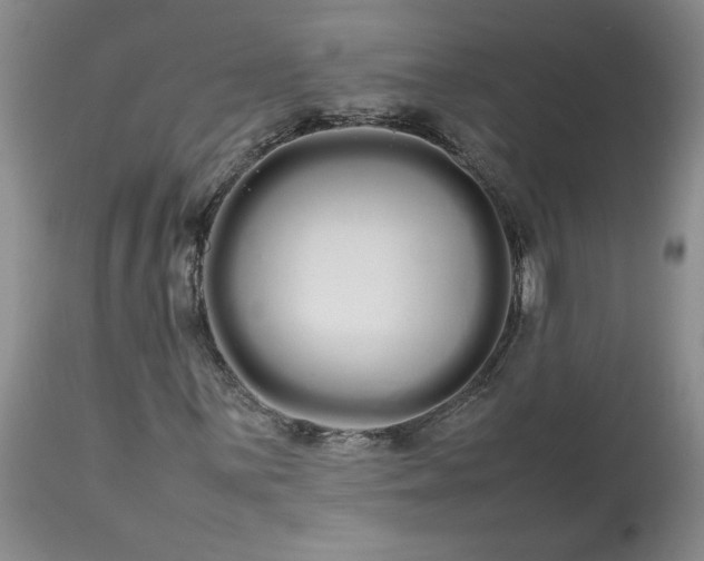 X0000113621059200910021822