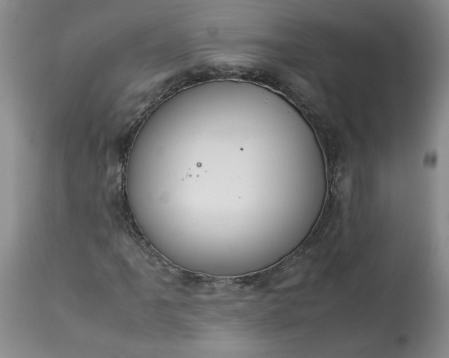 X0000113621061200910021822