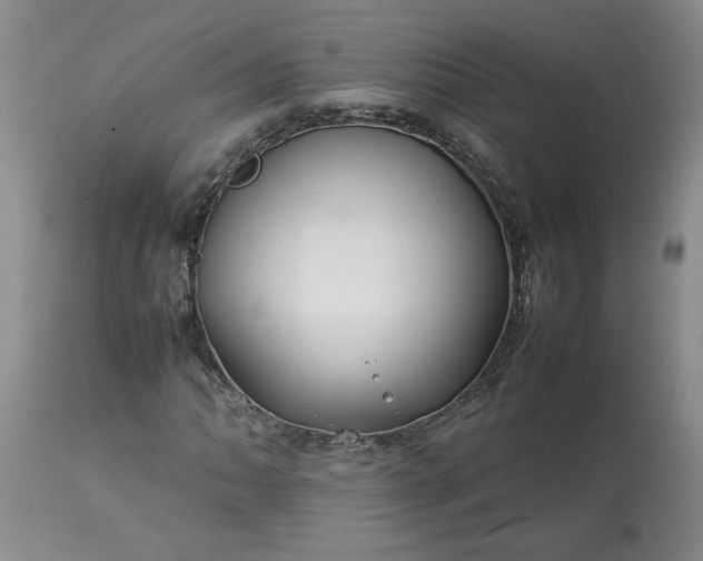 X0000113621062200910021822