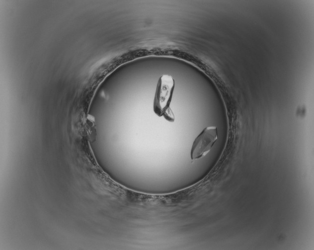 X0000113621063200910021822