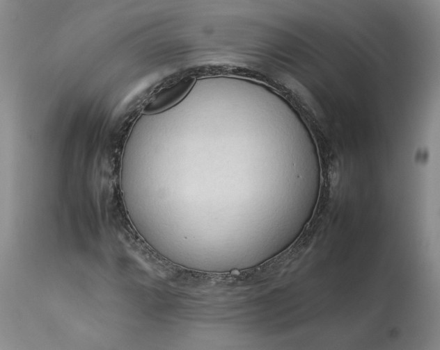 X0000113621064200910021822