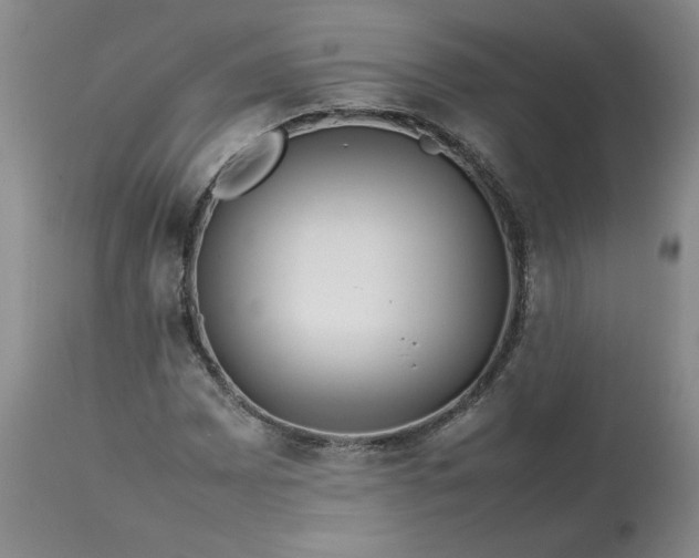 X0000113621065200910021822