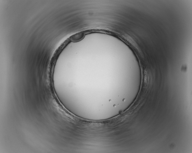 X0000113621068200910021822