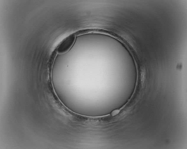 X0000113621069200910021822