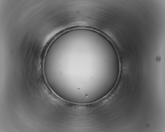 X0000113621070200910021822