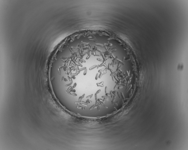 X0000113621071200910021822