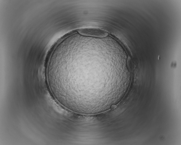 X0000113621072200910021822