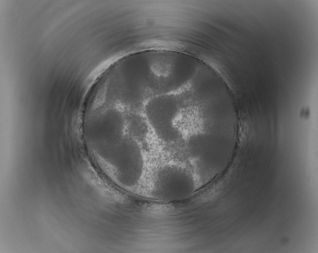 X0000113621074200910021822