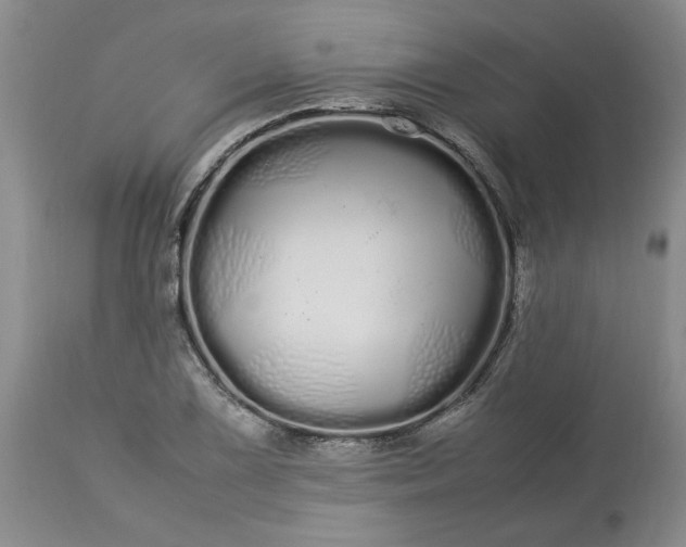 X0000113621075200910021822