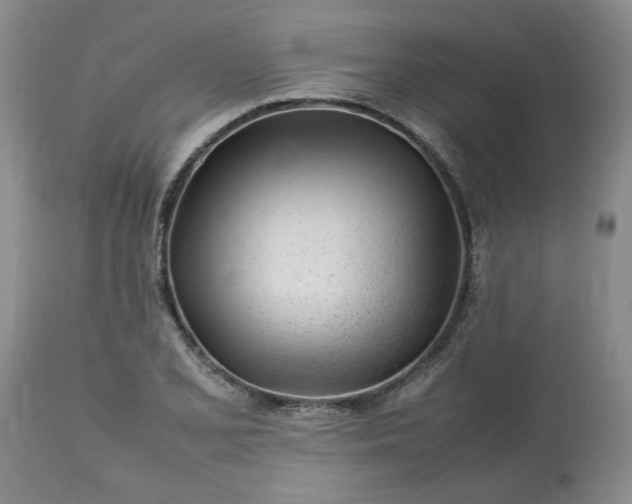 X0000113621077200910021822