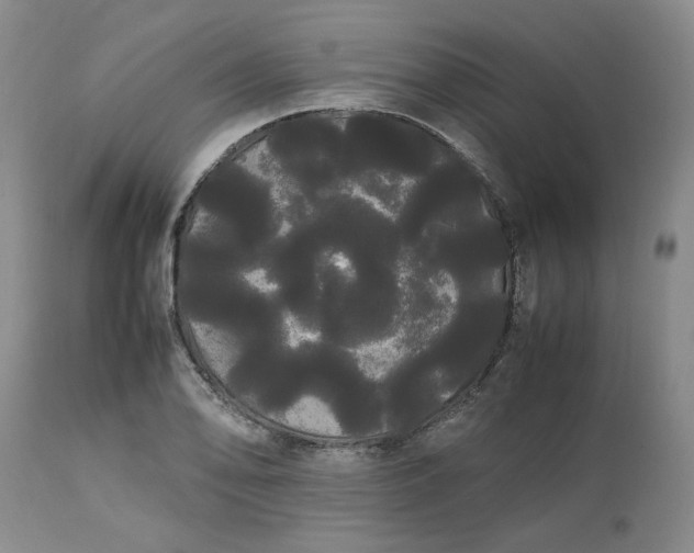 X0000113621078200910021822