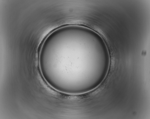 X0000113621079200910021822