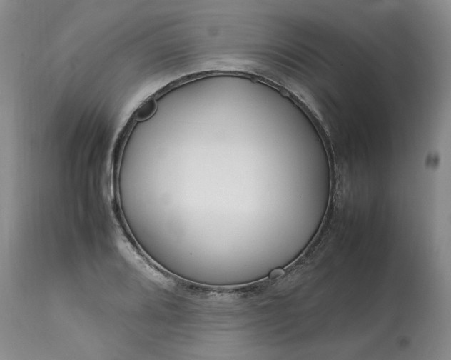 X0000113621080200910021821