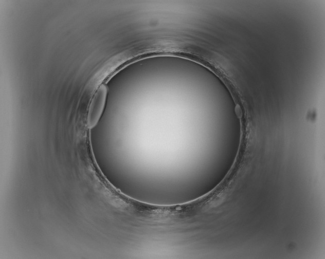 X0000113621081200910021821