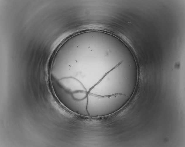 X0000113621082200910021821