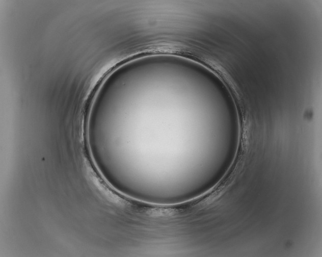 X0000113621083200910021821