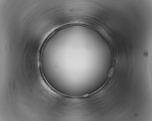 X0000113621084200910021821