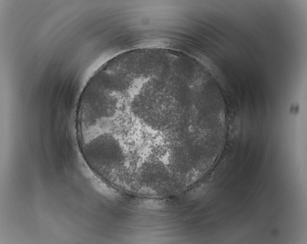 X0000113621086200910021821